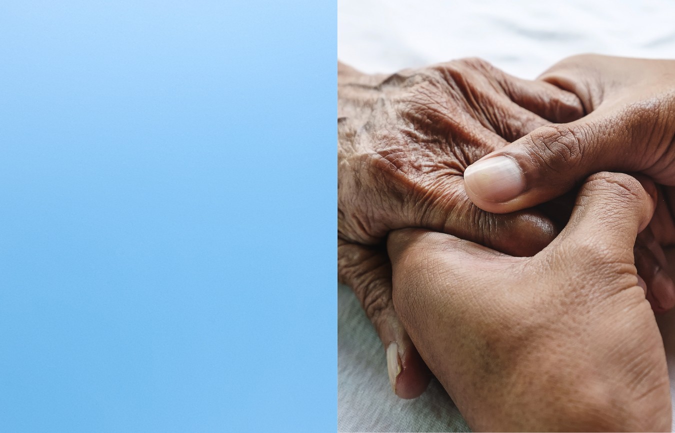 CAREGIVERS: Facts, Figures and Future Trends