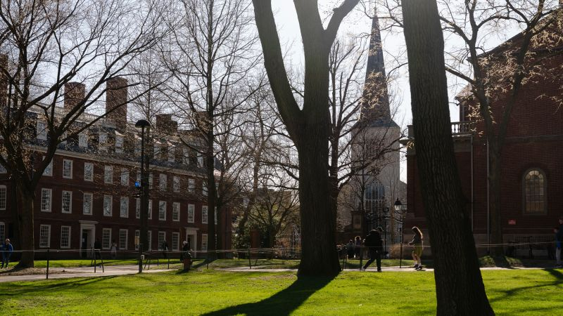 Harvard university